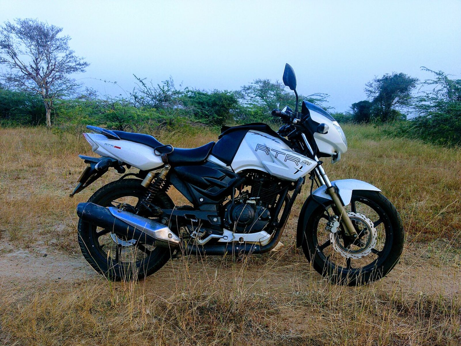 2015 TVS King — photo 3 of 12