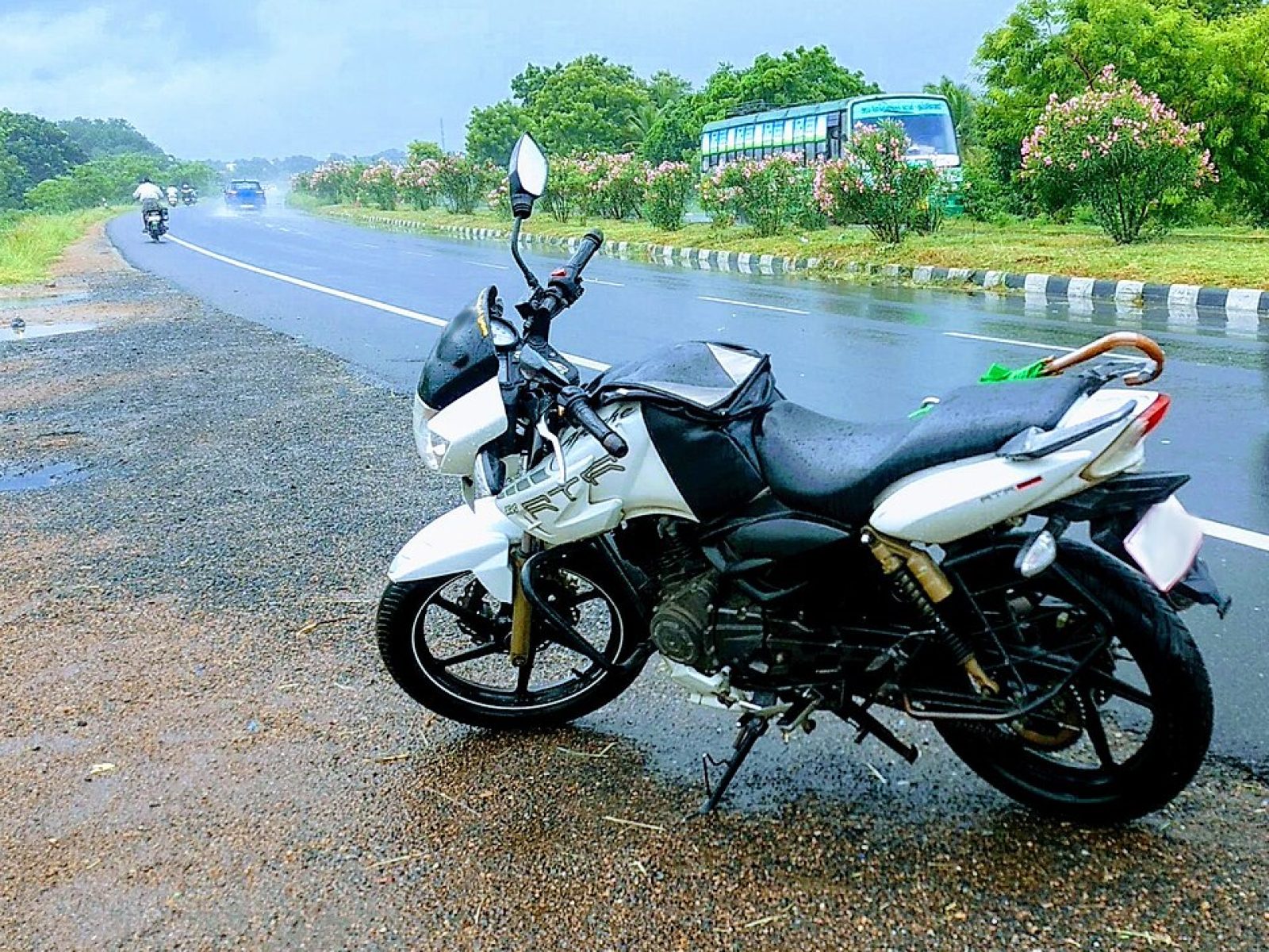 2015 TVS King — photo 4 of 12